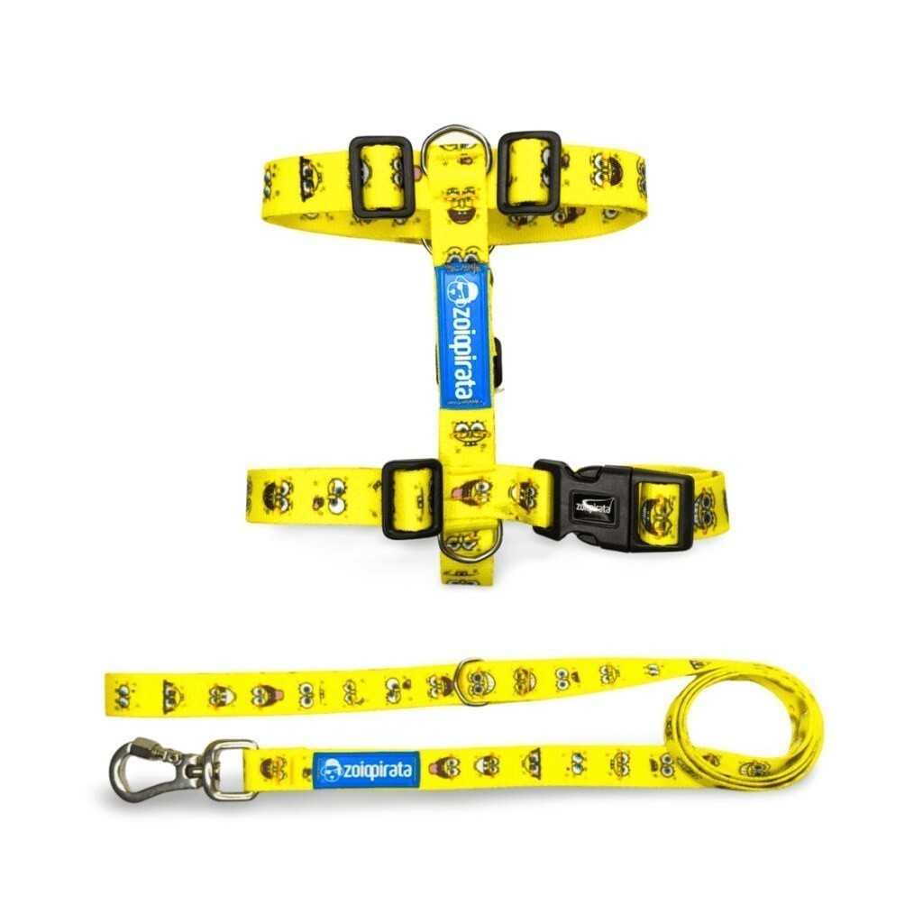 Kit 2 peças Peitoral H Antipuxão para cachorros Regulável e Guia de 1,2m com Mosquetão de Trava com Rosca Bob