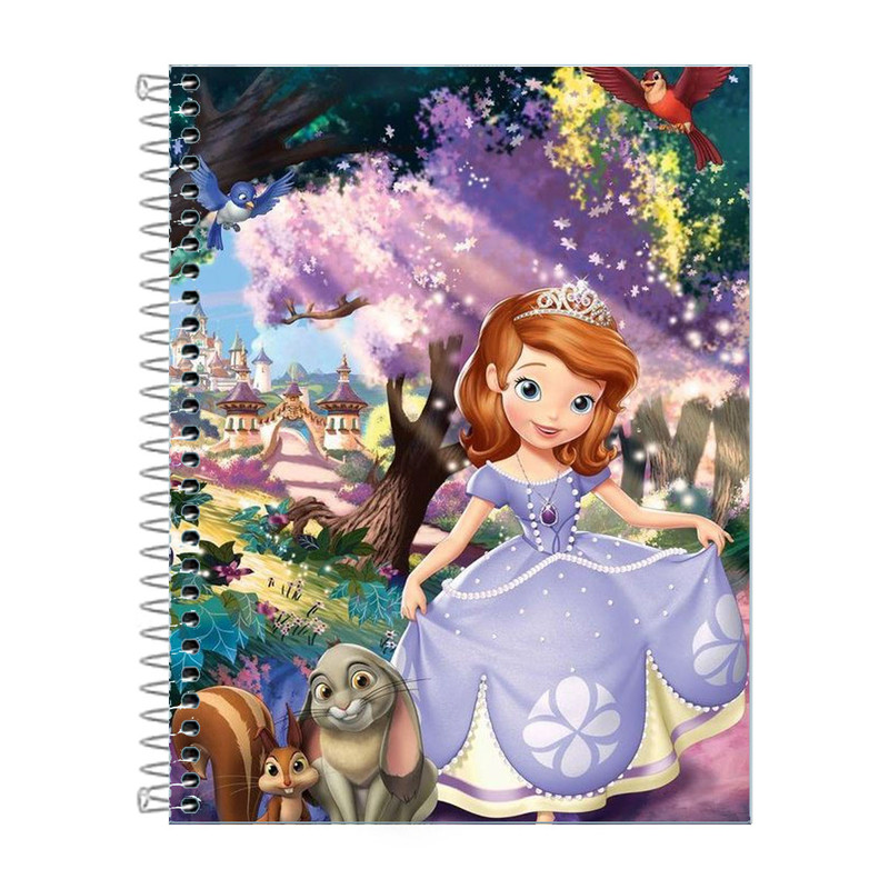 Caderno Princesinha Sofia 10 Matérias 160 Folhas | Shopee Brasil