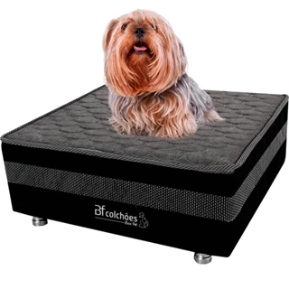 Cama Box Pet Com Lençol Impermeável Branco Para Cachorros e Gatos 60x60x24cm BF Colchões