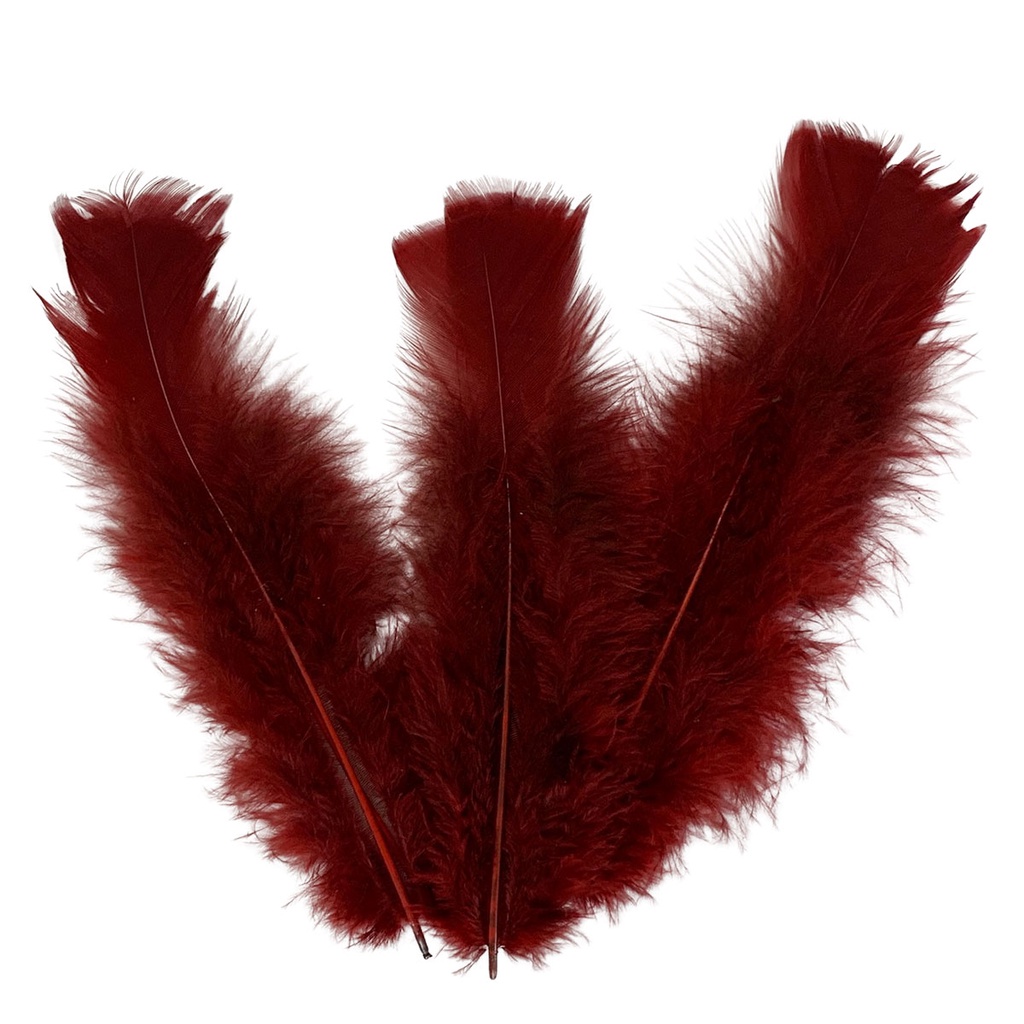 Plumas e Penas Coloridas 200 uni Vinho