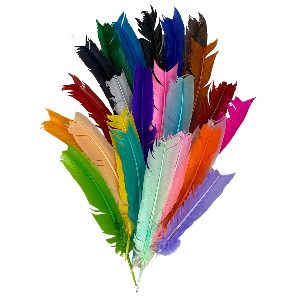 Plumas e Penas de Pato 25 uni Escolha A Sua Cor
