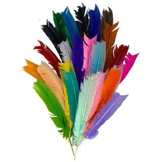 Plumas e Penas de Pato 25 uni Escolha A Sua Cor