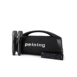 Caixa De Som grande portatil Boombox Peining 400w 2 microfone e controle remoto PEI-SP02 PRETO em Oferta na Shopee