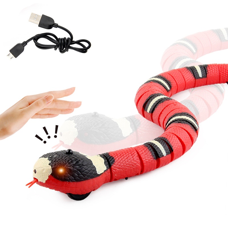 Brinquedos Inteligentes Do Gato Que Detectam O Jogo Eletrônico Automático  Interativo Do Gato Da Serpente Que Teasering Brinquedos Do Gatinho  Recarregável De Usb Para Gatos Cães Pet - Brinquedos Para Gatos - AliExpress