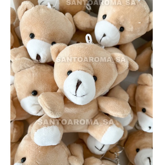 Shopee best sale teddy bear