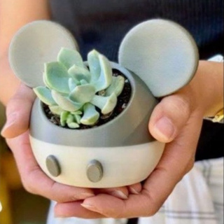 Vaso/Porta Treco Mickey Mouse Decorativo