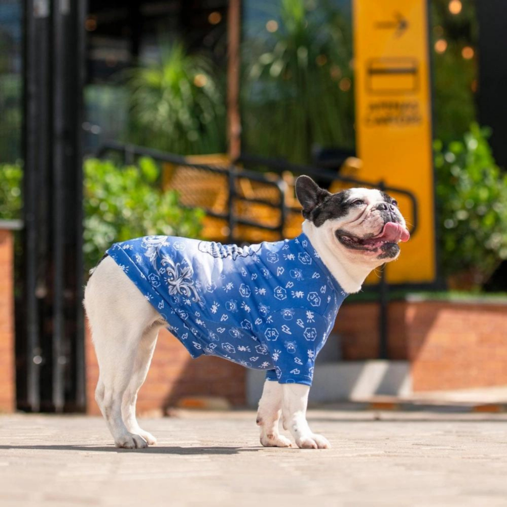 Camiseta Para Cachorro E Gato Street Roupa Pet Shop Roupinha