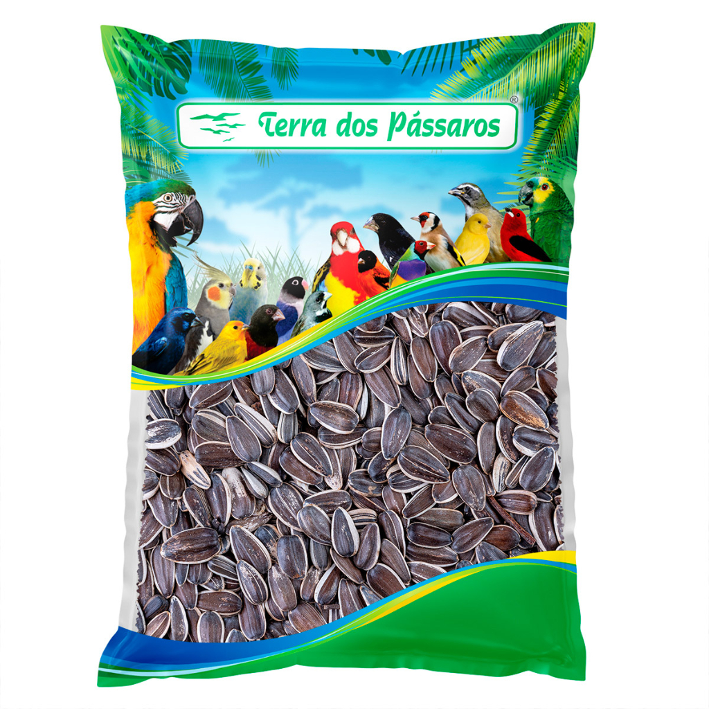 Girassol Gigante para Pássaros - Papagaios e Araras - Sementes - 350g ...