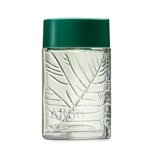 Arbo Colônia Tradicional 100ml - o Boticário (Perfume Masculino Original) em Oferta na Shopee