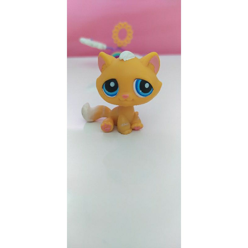 LPS Littlest pet shop Tabby cat Shopee Brasil
