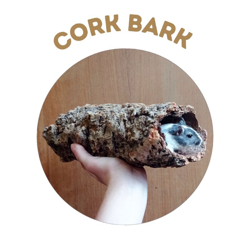 Cork Bark toca natural para roedores e répteis