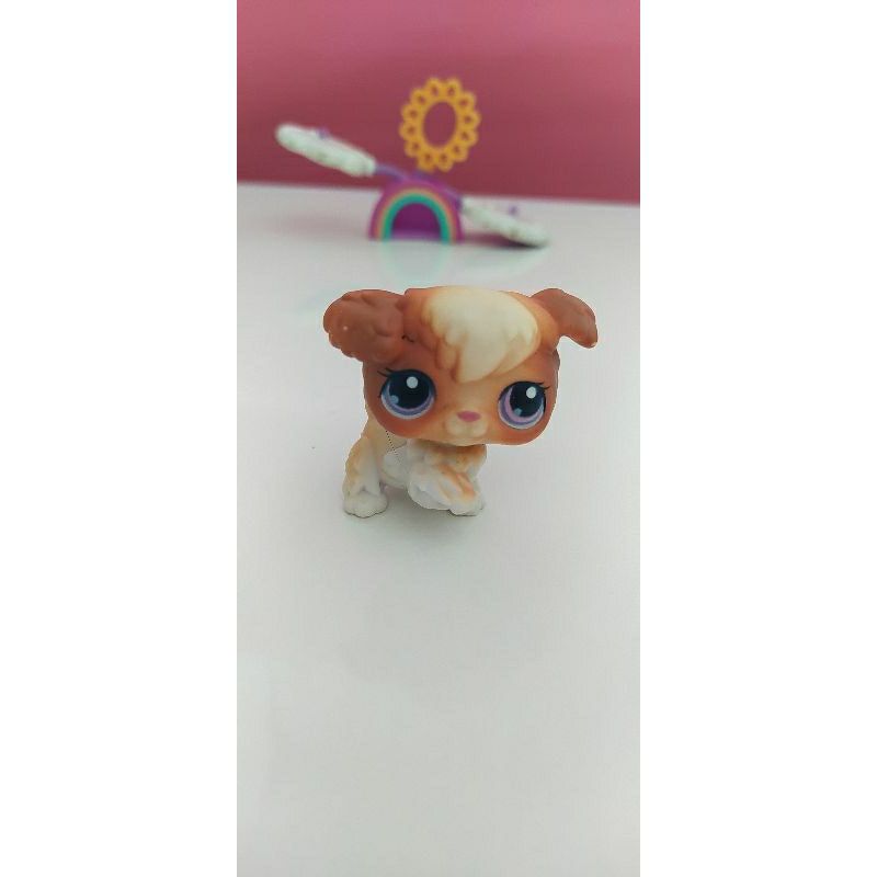 Littlest Pet Shop Series 2 Multi Pack Lucie La Poodle (#2-91) Pet | LPS