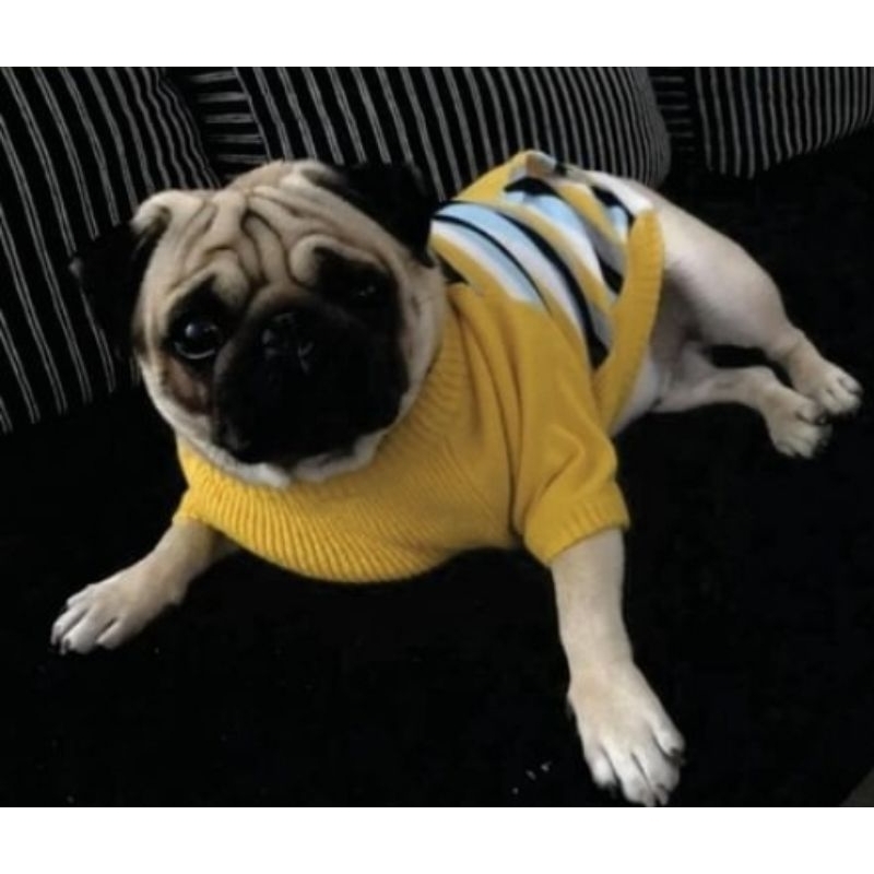 Emporio Dutra - Roupa Bebê Life is pizza pug