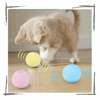 Ipetboom 12 Pçs Gato De Estimação Bola De Cristal Brinquedo Gato Catnip  Brinquedos Gato Exercício Brinquedo Gato Bolas Brinquedos Gato Brinquedo  Jogo