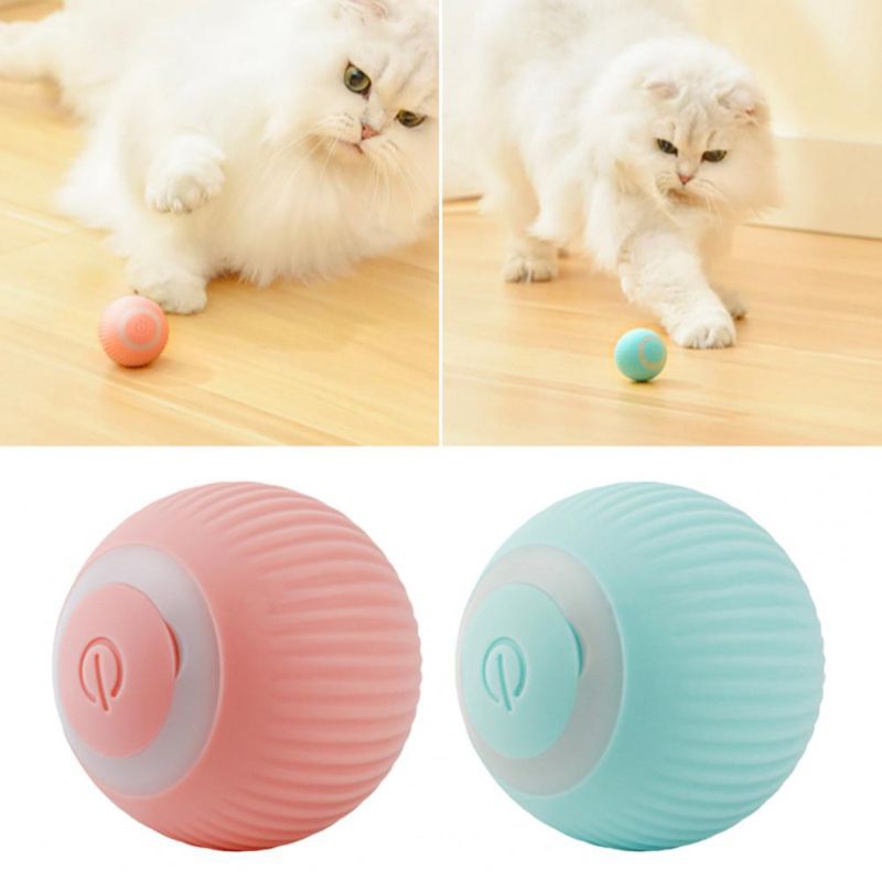 Compra online de Brinquedos elétricos inteligentes da bola do gato  brinquedos de rolamento automático do gato para gatos que treinam  brinquedos auto-moventes do gatinho para o jogo interativo interno