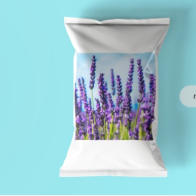 Imagem 2 da lavanda
