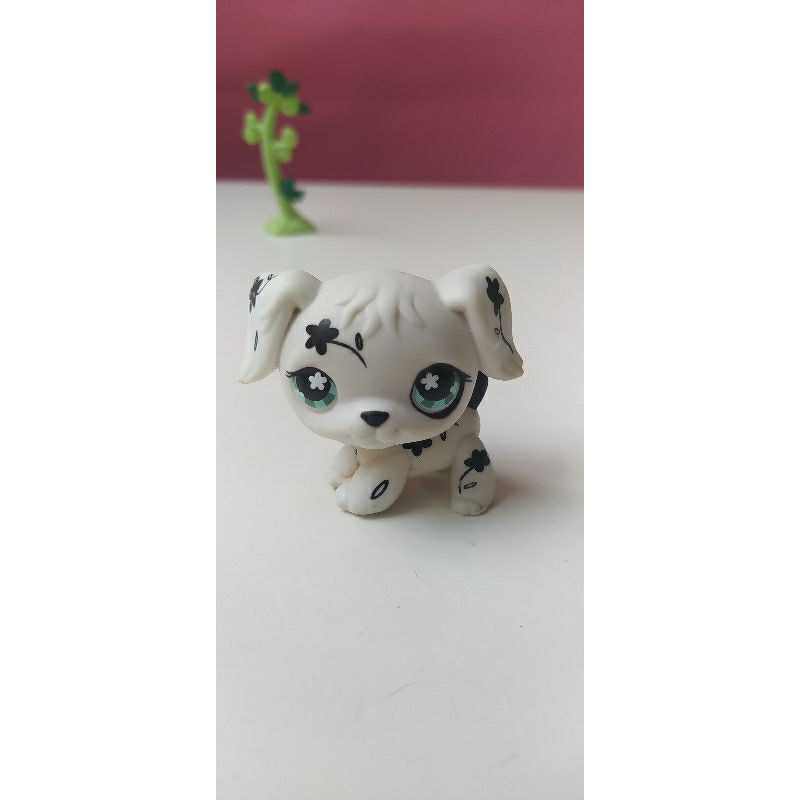 LPS Littlest pet shop golden Shopee Brasil