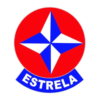 ADESIVO ESTRELA 10cm