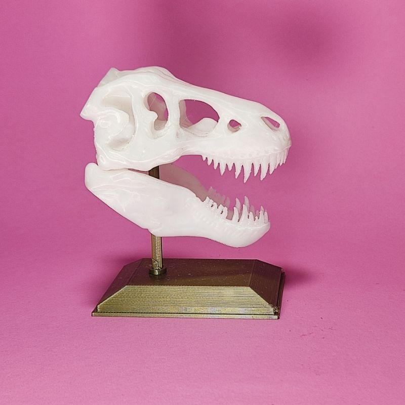 Esqueleto T Rex Dinossauro Decoração Impressão 3d
