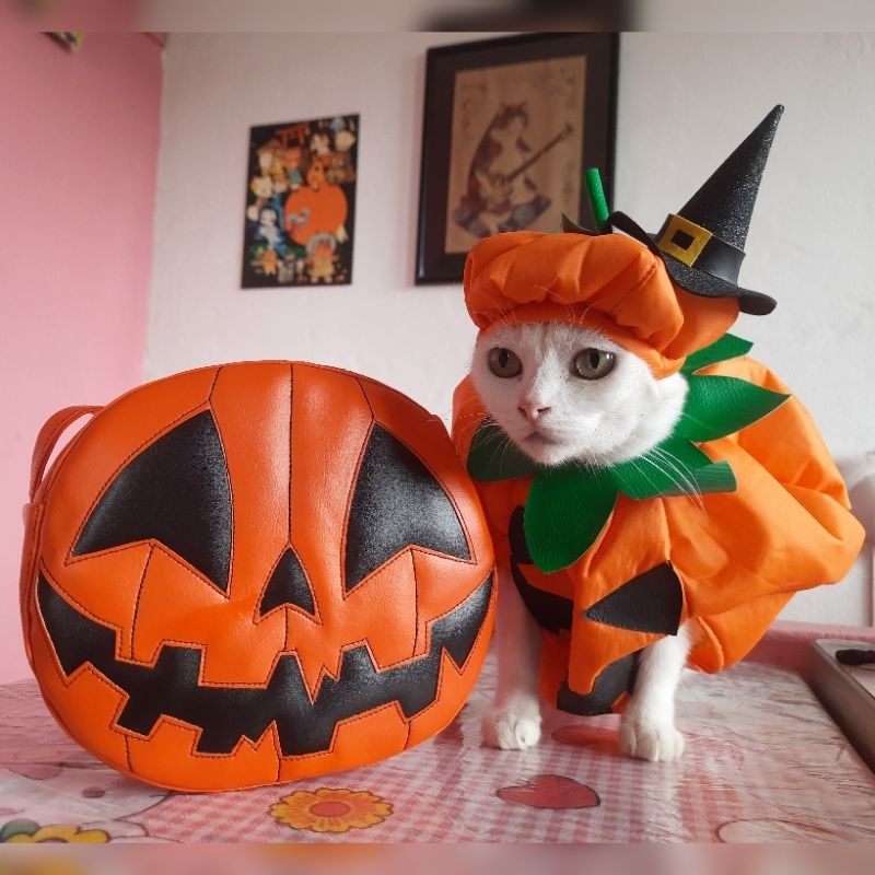 Bolsa tiracolo abóbora halloween