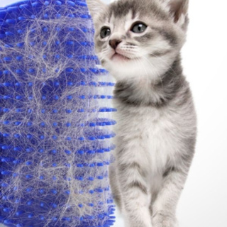 Kit 2 Escova Tira Pelos Pet Parede Gatos Com Catnip Massagem Pet Alta Qualidade e Barato