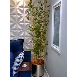 Planta bambu artificial caule natural folhas artificiais 4 hastes 1mt/o vaso não acompanha
