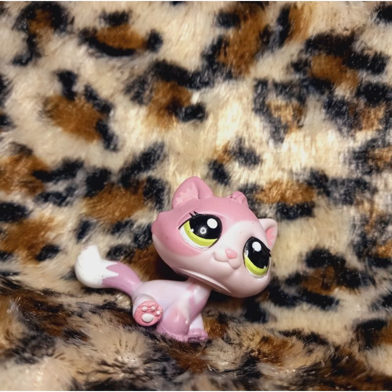 Littlest Pet Shop tabby cat | Shopee Brasil