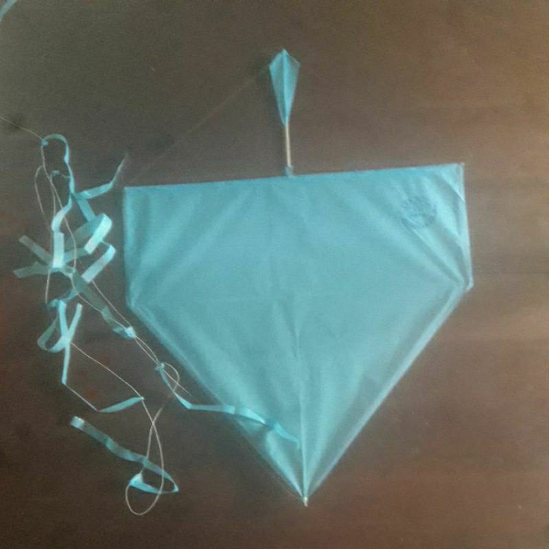 PIPA DE 55 cm vai com rabiola e com biqueira pacote com 10 unidades ...