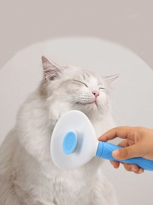 Imagem do produto Escova Removedora Tira Pelos Dos Pets Cães E Gatos 4