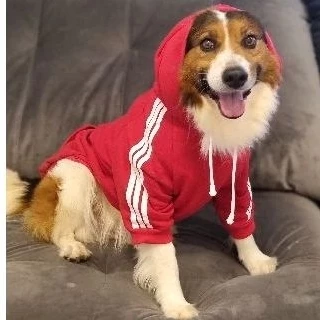 Blusa de Moletom para cachorro Roupas Pet inverno cão gato todos os tamanho pequeno médio e grande porte