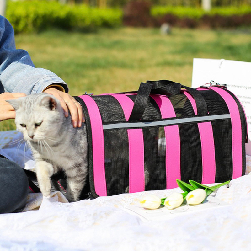 Bolsa Transporte Avião Cachorro Gato Maleta Desmontável