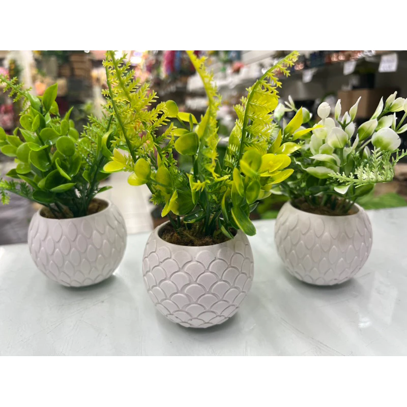 Kit com 3 arranjos vaso de gesso decorativo redondo MY 2229