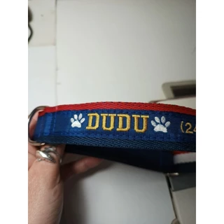 Coleira de (LUXO) identificação cachorro bordada (porte médio/grande)