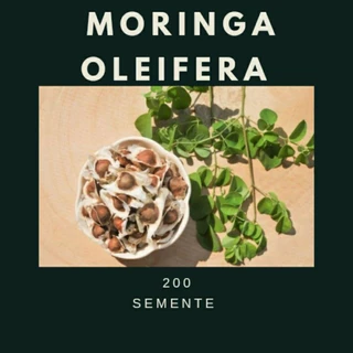 200 Sementes de moringa oleifera