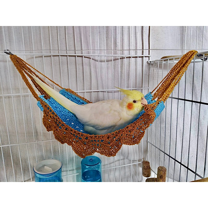 Rede para Calopsitas, Periquitos, Agapornis e Aves em Geral | Shopee Brasil
