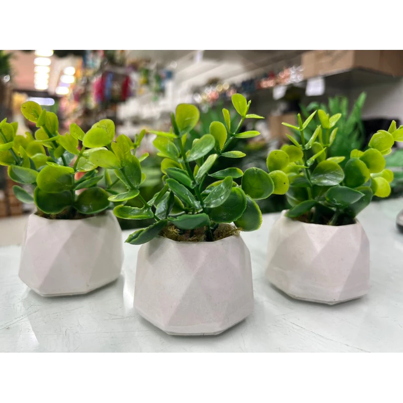 Kit com 3 arranjos Eucalipto vaso de gesso decorativo