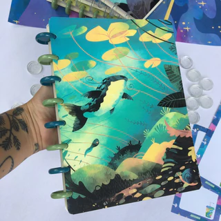 Caderno de disco - o rio