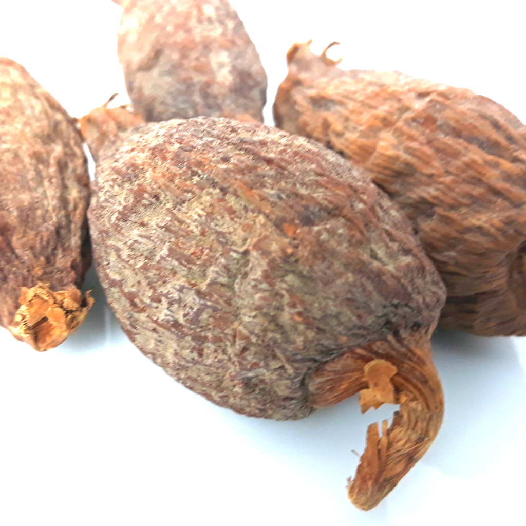 Fava de Atare Pimenta da Costa Africana Ritual Umbanda Candomblé Exu ...
