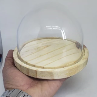REDOMA/CUPULA DE VIDRO SEM PEGADOR COM BASE DE MADEIRA