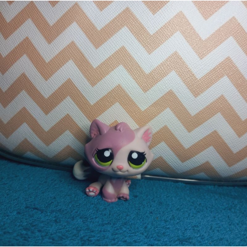 Littlest Pet Shop tabby cat Shopee Brasil