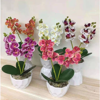 Orquídea Artificiais com vaso altura 24 cm