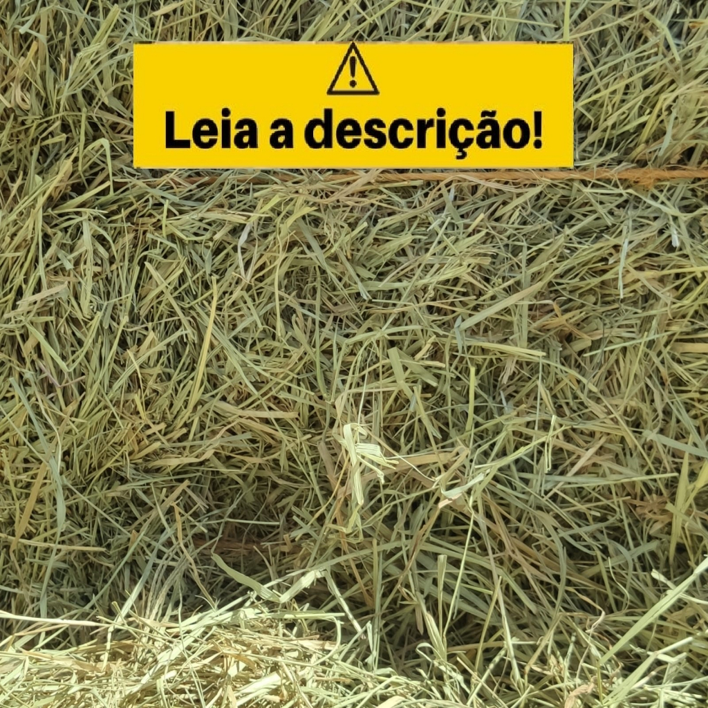 Feno Tifton 5kg Para Coelho e Porquinho da Índia