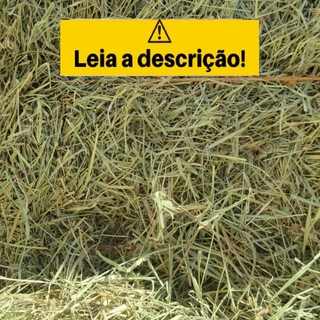 Feno Tifton 5kg Para Coelho e Porquinho da Índia