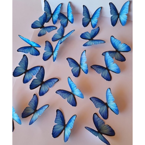 Bundle Ali Di Farfalla A Specchio Sendmeamirror - 3 Dimensioni: 5x6 Cm, 5x4 Cm, 8x2 Cm - Adesivi Acrilici - 2