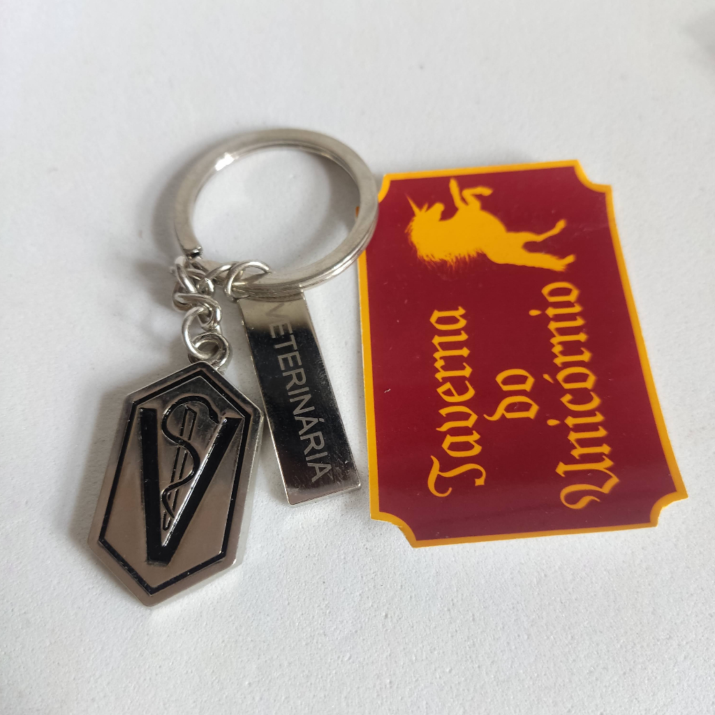Chaveiro Com Placa Profissões Formatura Educação Física Veterinária