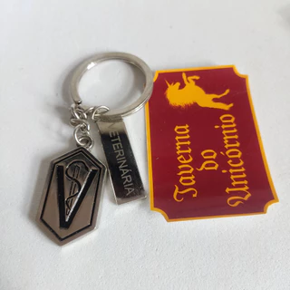 Chaveiro Com Placa Profissões Formatura Educação Física Veterinária