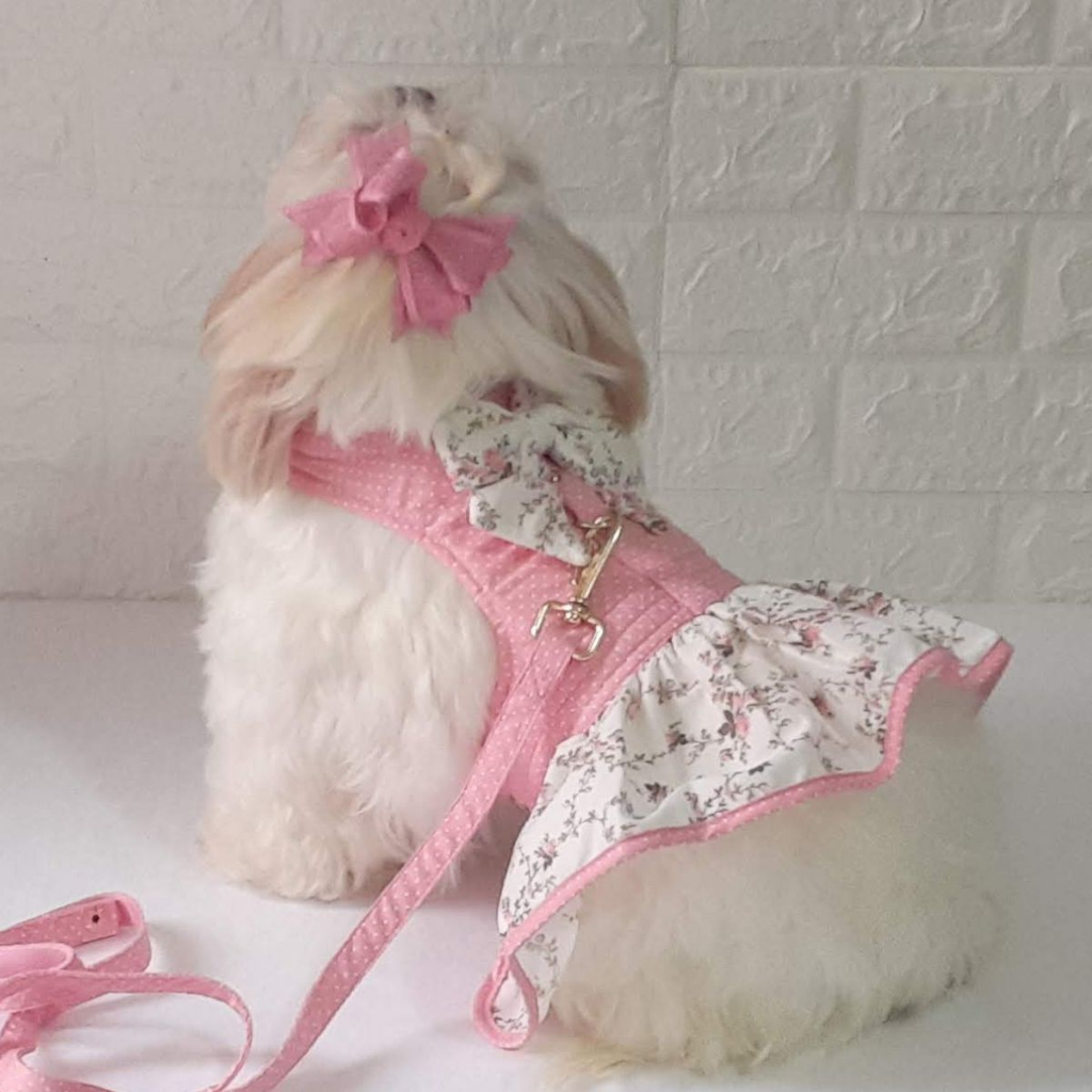 Roupa Roupinha Pet Para Cachorro Vestido Barbie Com Guia