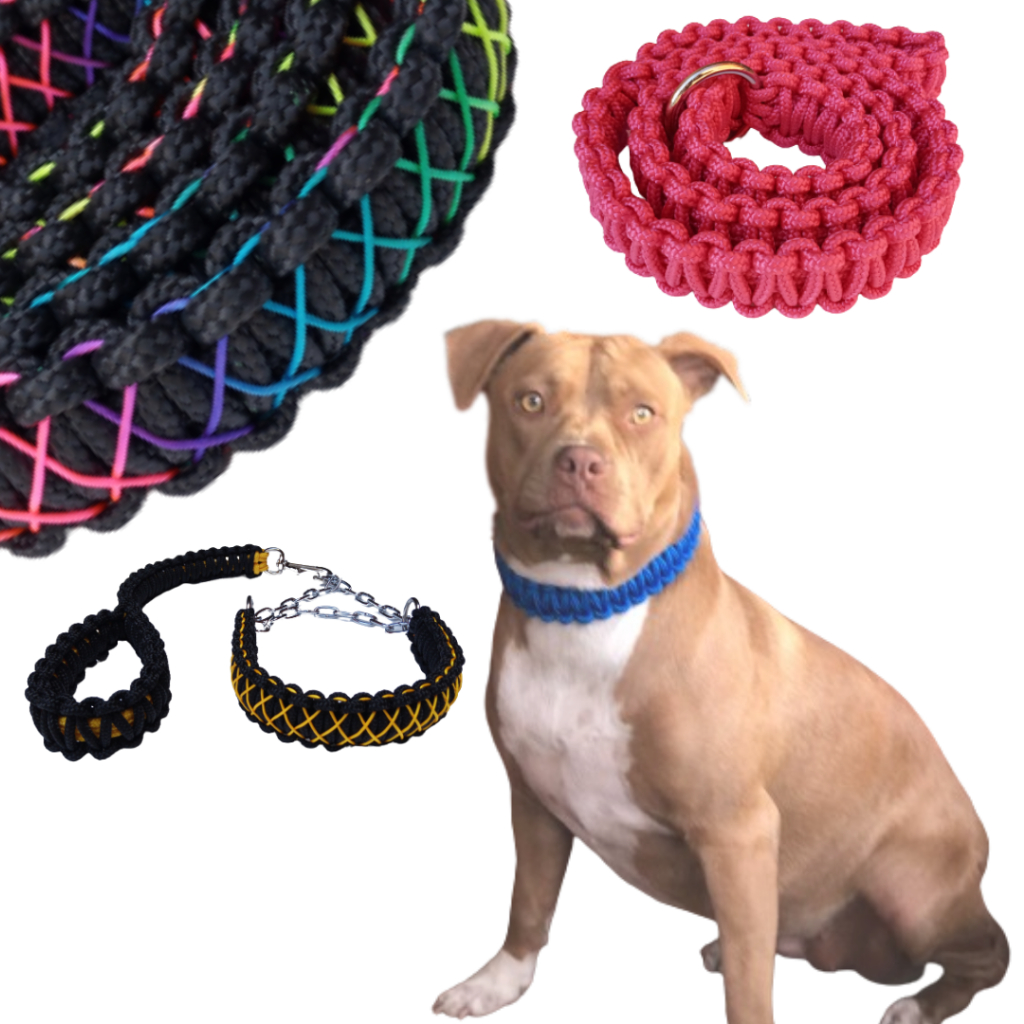 Guia Para cachorro - Coleira para Cachorro - Enforcador Artesanal Paracord - Pitbull - Pet