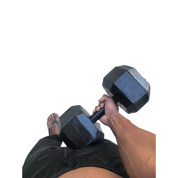 Athlyt - Hex Halter, 27.5 kg - 1 stuk
