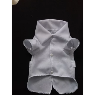 Pet/Cachorro/Jaleco/Roupas Cachorro